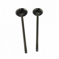 Bashan Xplode 250 Valves