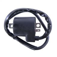 Big Boy GPR Ignition Coil
