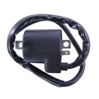 Big Boy GPR Ignition Coil