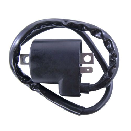 Big Boy GPR Ignition Coil